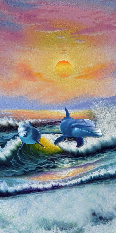 Dolphin #515