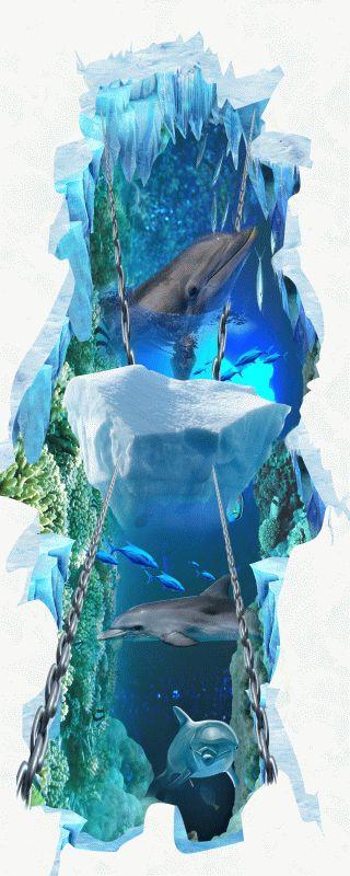 Dolphin #516