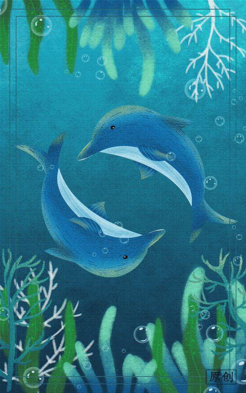 Dolphin #517