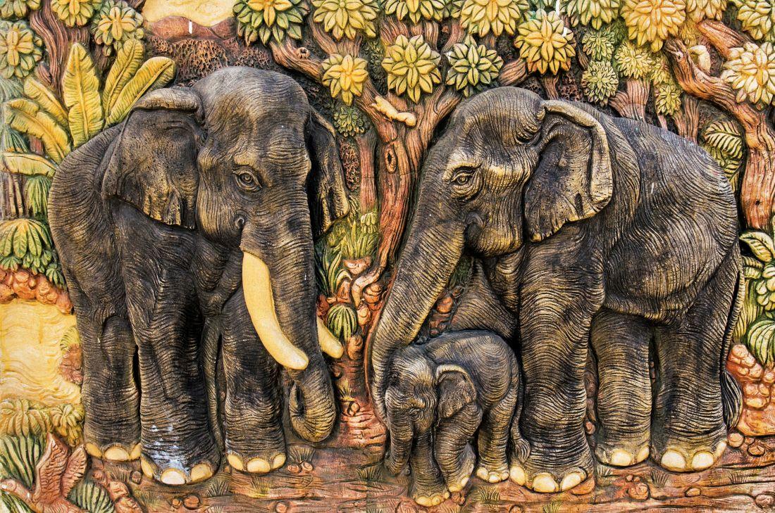 Elephant #001