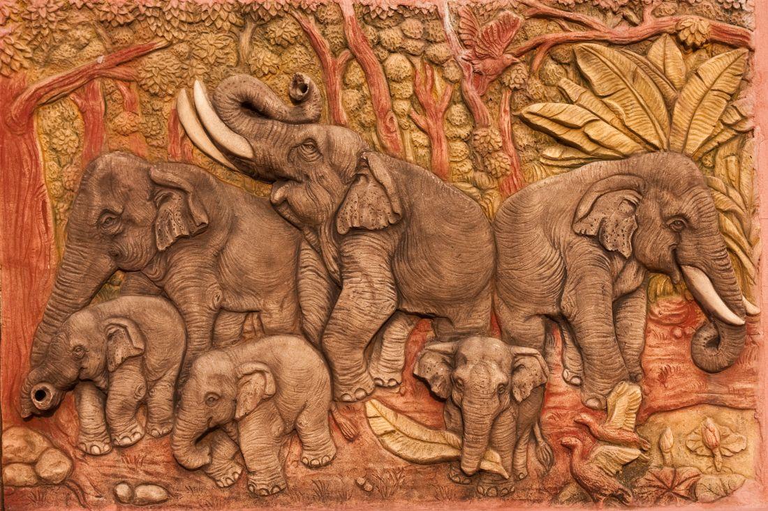 Elephant #002