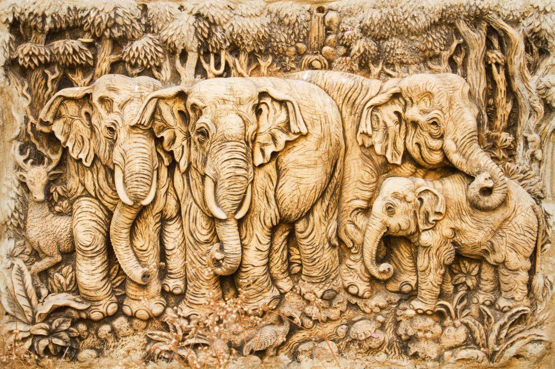 Elephant #003