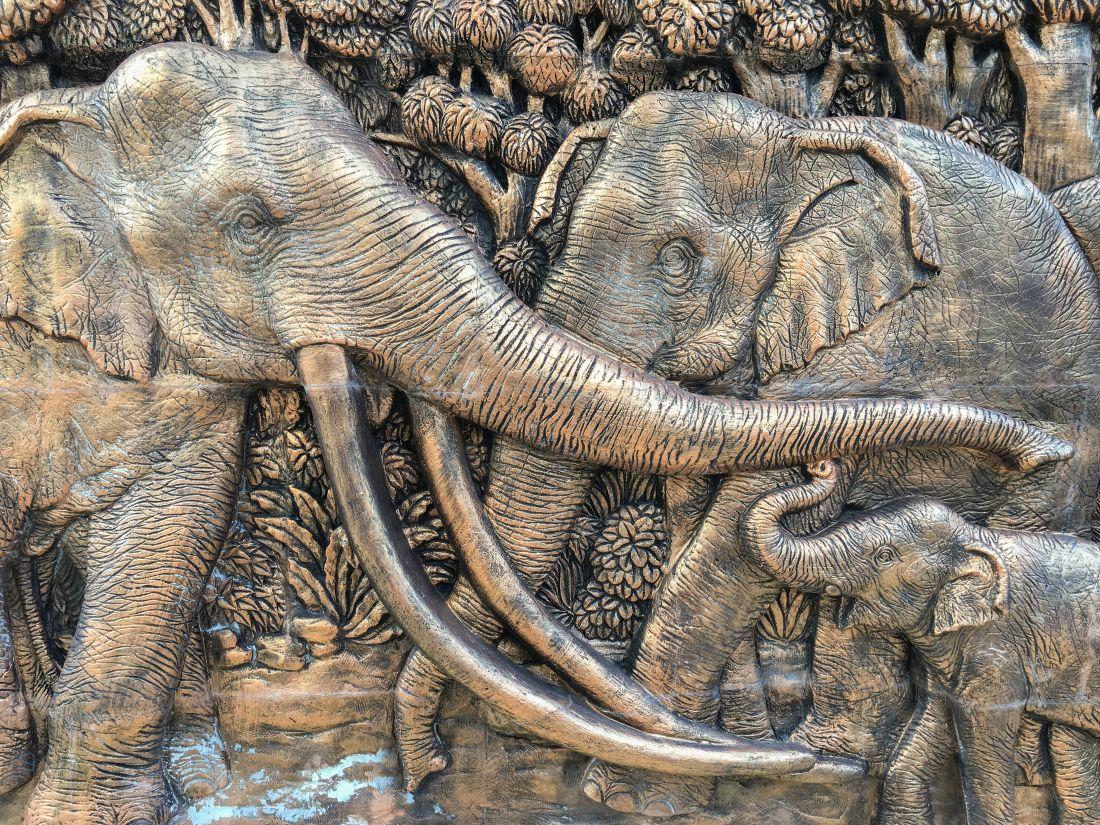 Elephant #005