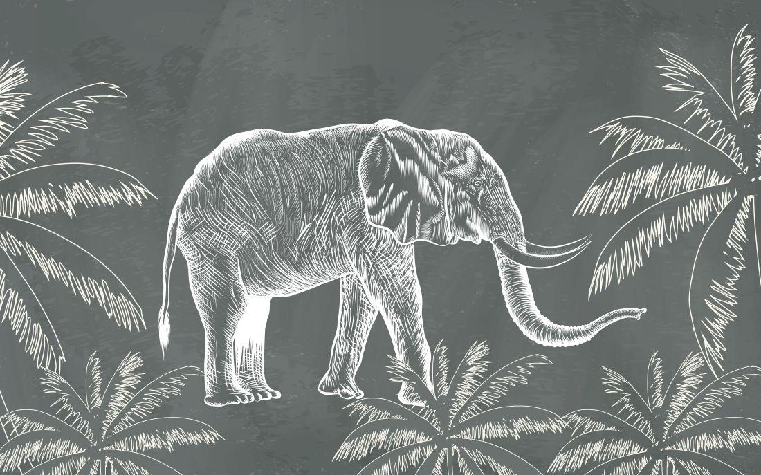 Elephant #006