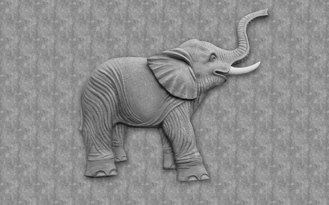 Elephant #008