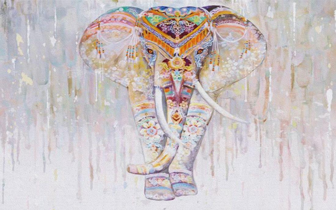 Elephant #011