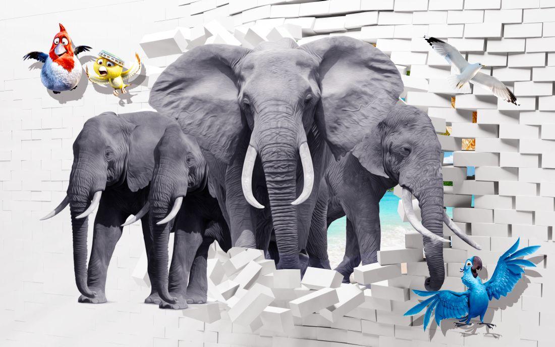 Elephant #014