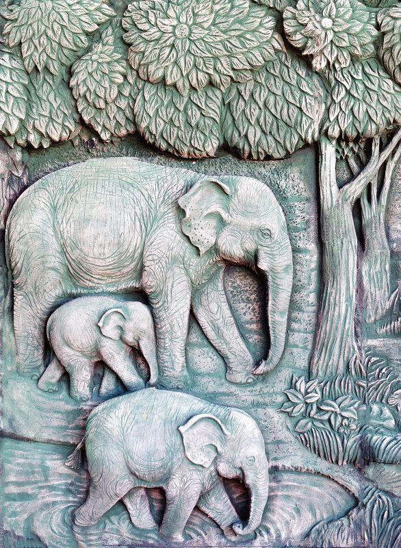 Elephant #500