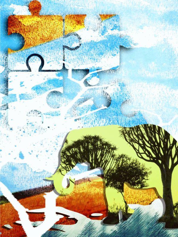 Elephant #504