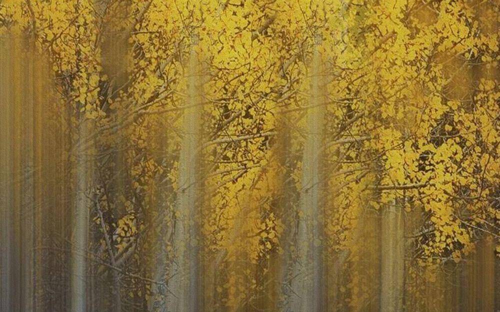 Forest #076