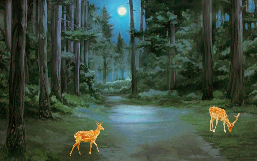 Forest #080