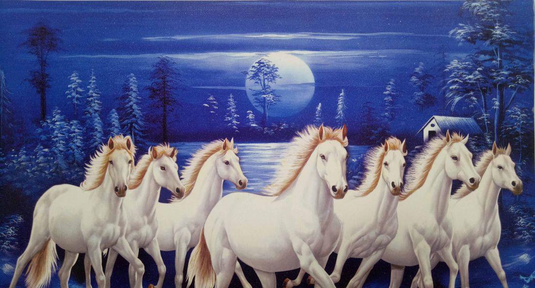 Horse #007