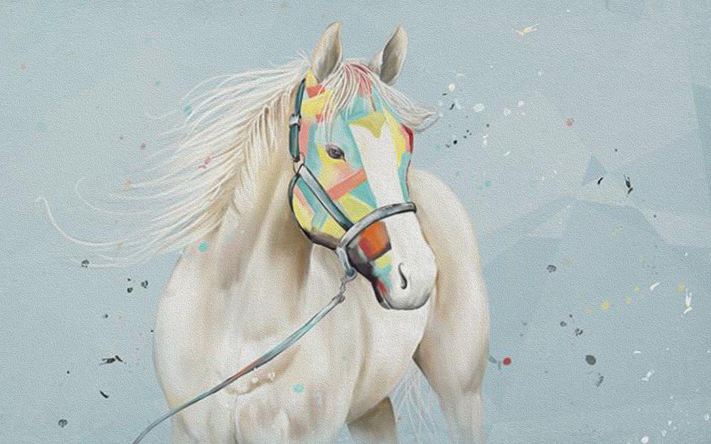 Horse #064
