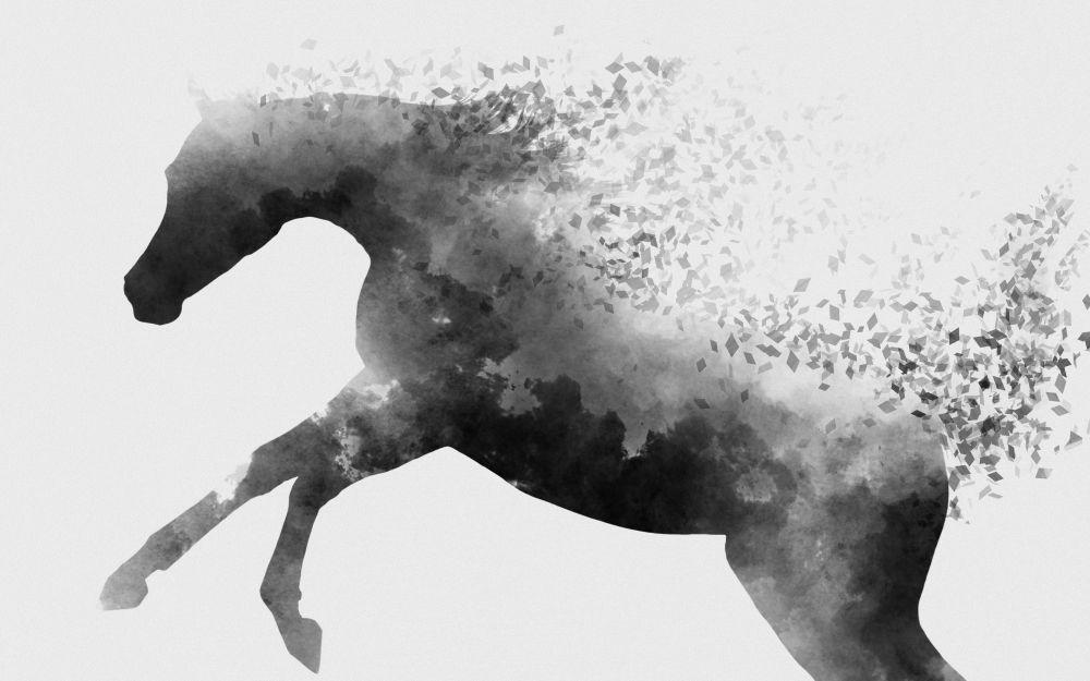 Horse #070