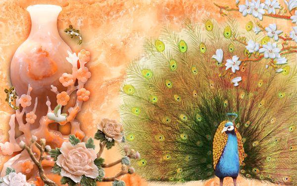 Peacock #011