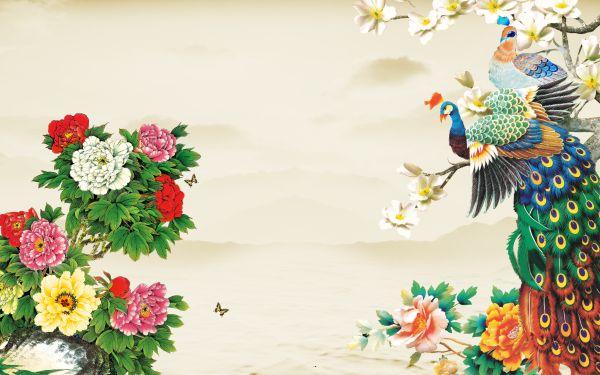 Peacock #017