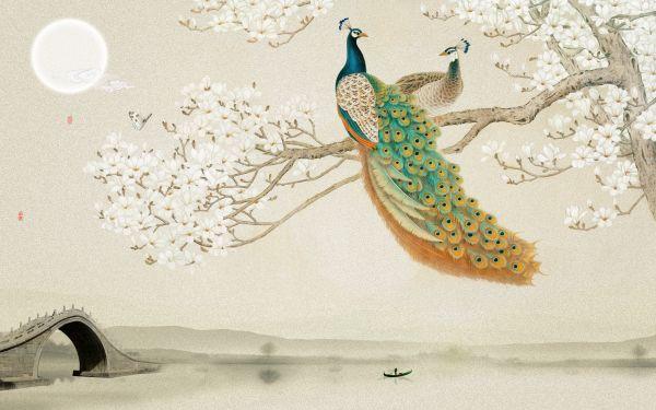 Peacock #018