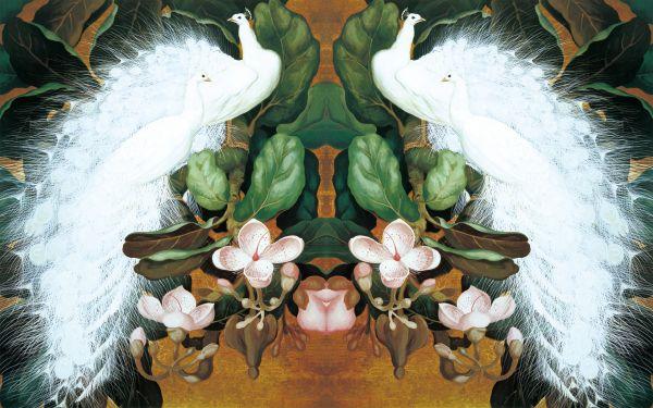 Peacock #026