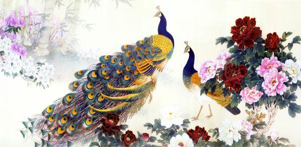 Peacock #027