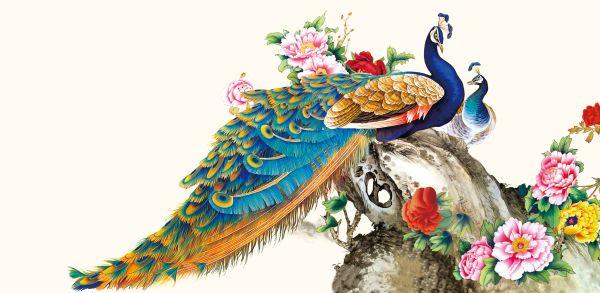 Peacock #028