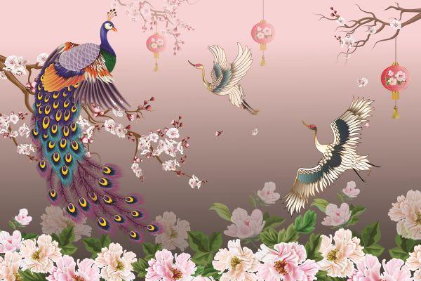 Peacock #031