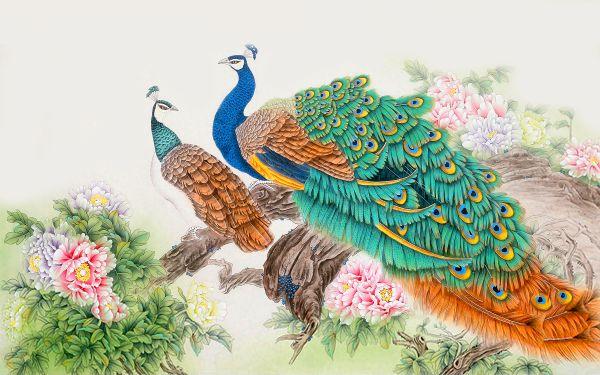 Peacock #042