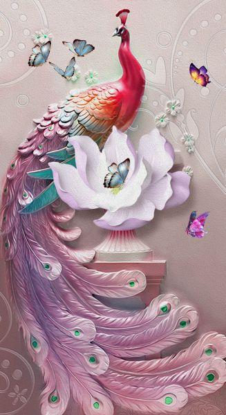 Peacock #503