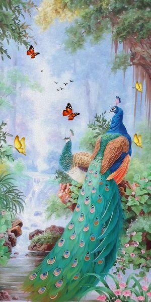 Peacock #510