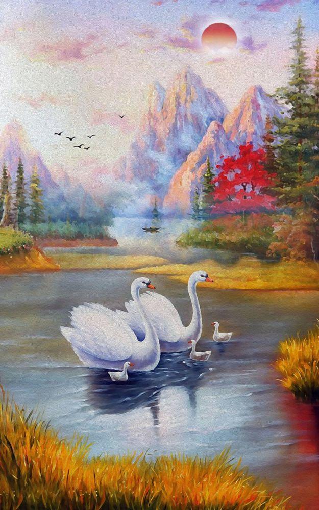Scenery #502