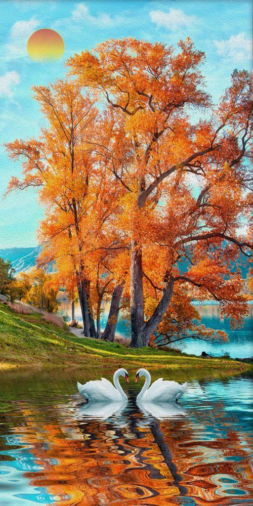 Scenery #510