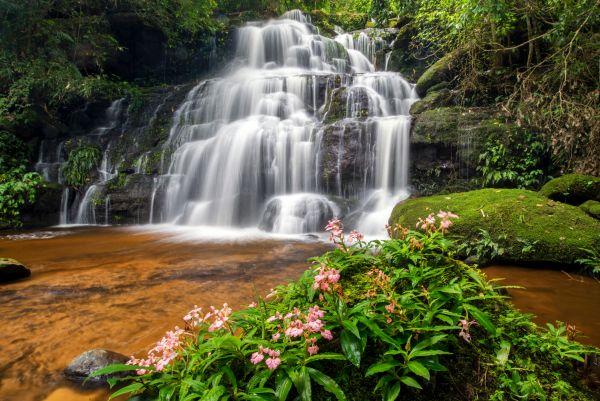 Waterfall #061