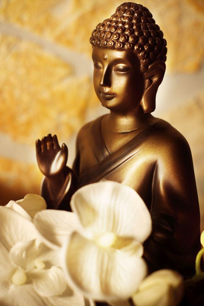 Buddha #035