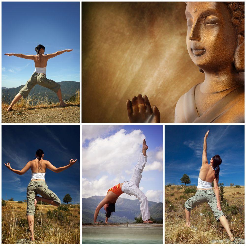 Buddha #046