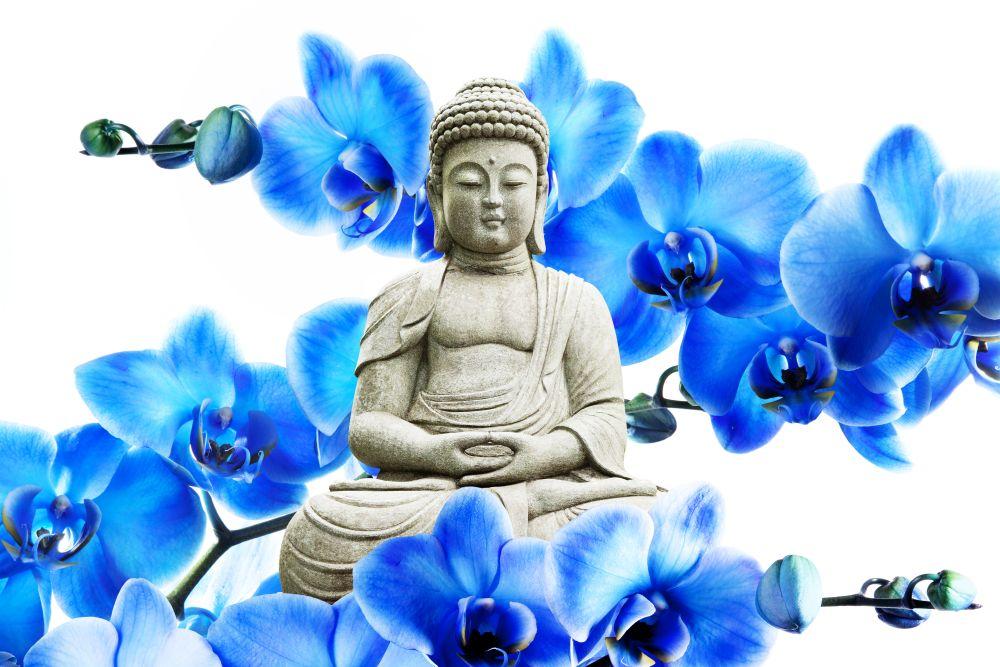 Buddha #051