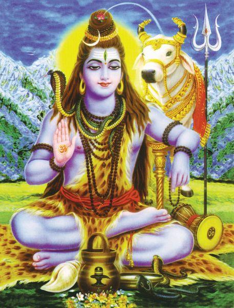 Shiva #006