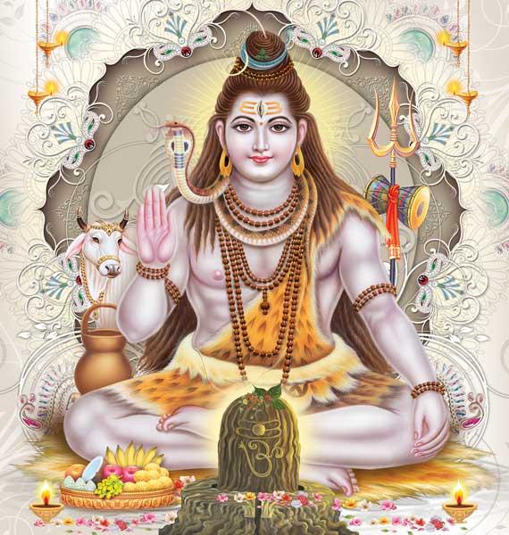 Shiva #026